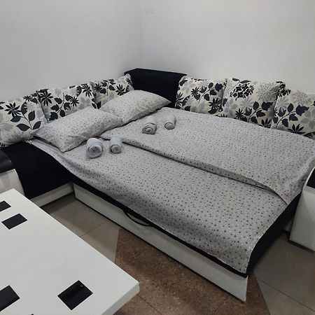 Apartman Aleksic U Samom Centru Grada Knjazevac Exteriör bild